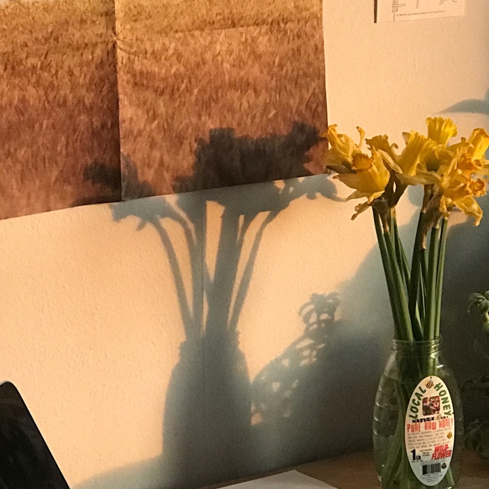 Meet your Posher, Maura